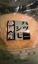 rice hatsusimo[1].jpg