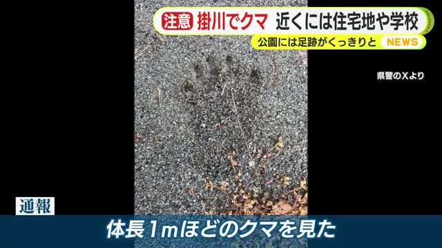 公園にくっきりと残されたクマの足跡 近くには住宅地や学校 西に向かっ
