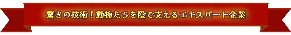 驚きの技術！動物たちを陰で支えるエキスパート企業