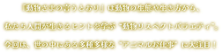 今回は動物にまつわる様々な“お仕事”を大調査！ペットブームや動物と触れ合える施設の多様化で、世の中には様々なアニマルのお仕事が！そこには、動物さまが快適に暮らすための様々な工夫があった！動物愛あふれる仕事人の技術と努力を紹介します。