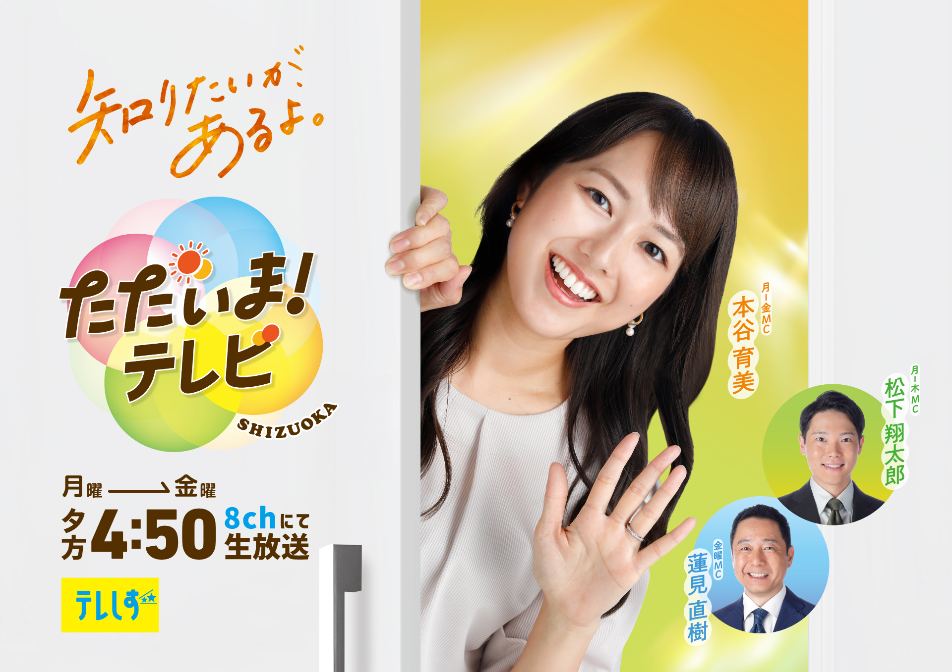 ただいまテレビ