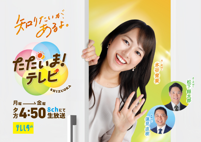 ただいまテレビ