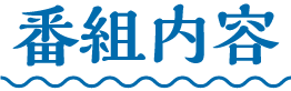 番組内容